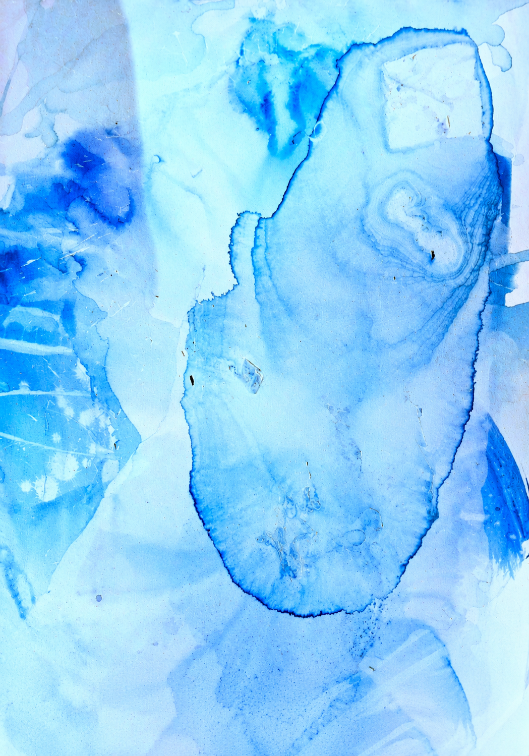 Marine Microorganisms